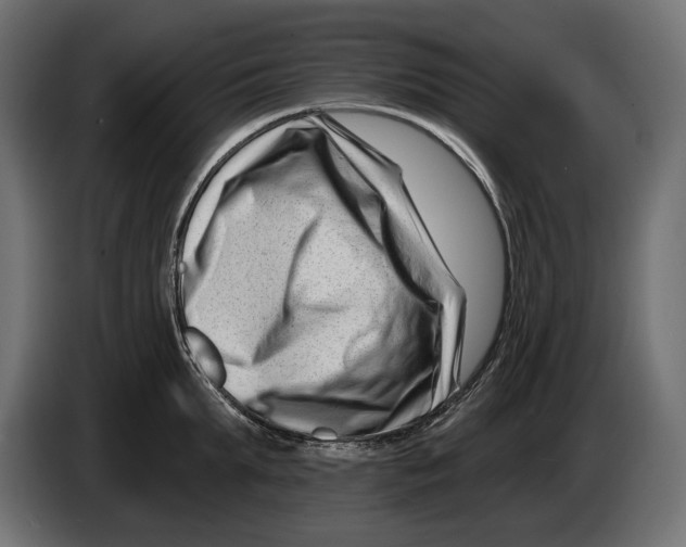 X0000082930903200703020103