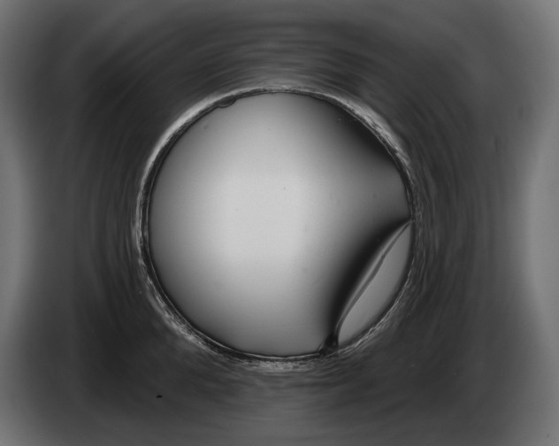 X0000082930904200703020103