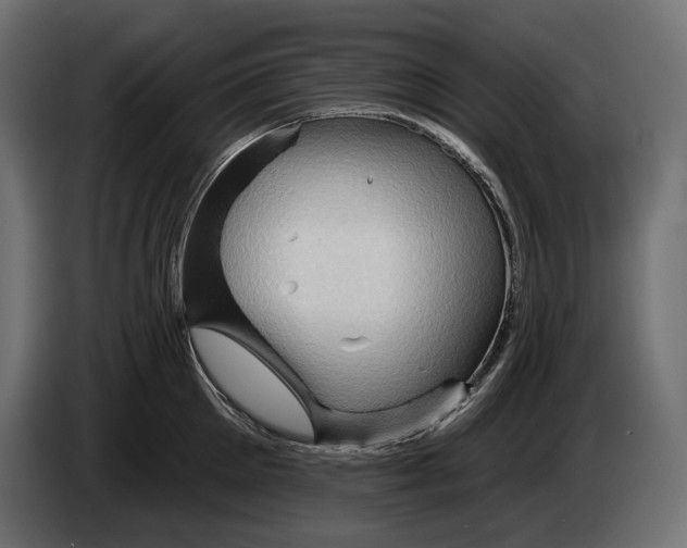 X0000082930905200703020103