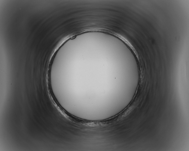 X0000082930906200703020103