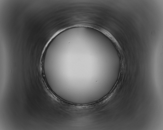 X0000082930908200703020103