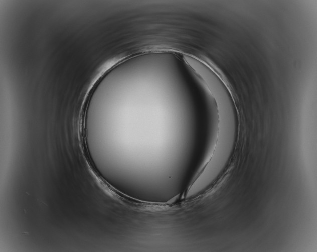 X0000082930909200703020103