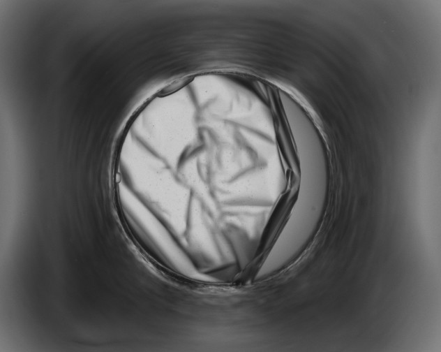 X0000082930910200703020103