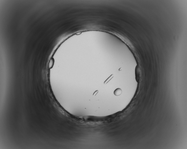 X0000082930912200703020102