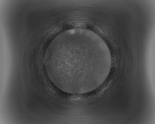 X0000082930913200703020102