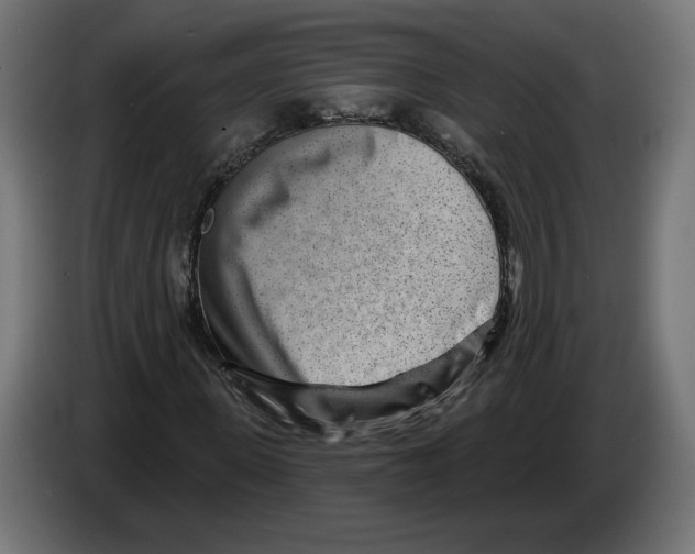 X0000082930915200703020102