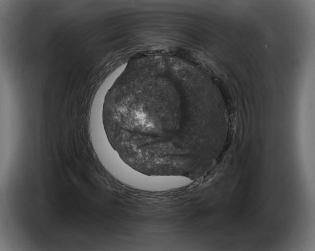 X0000082930916200703020102