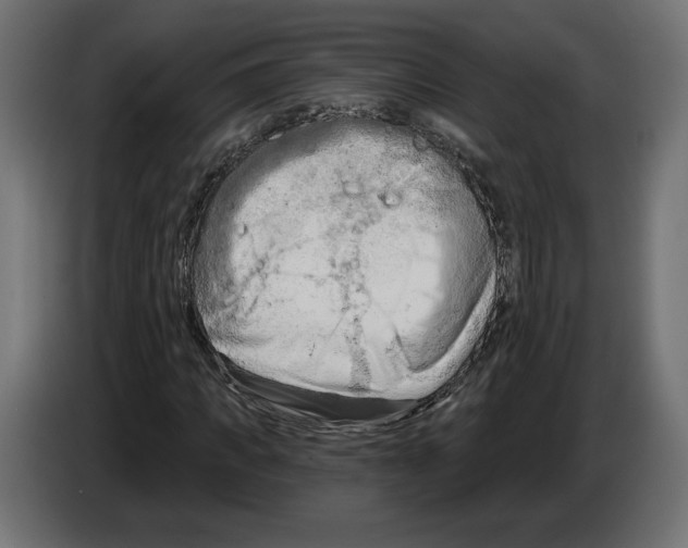 X0000082930917200703020102
