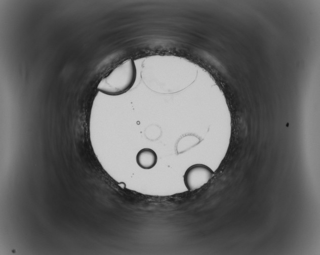 X0000082930918200703020102