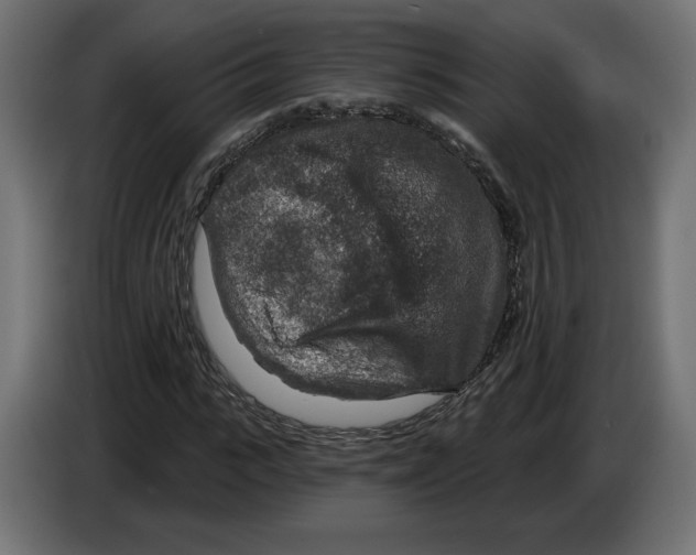 X0000082930919200703020102