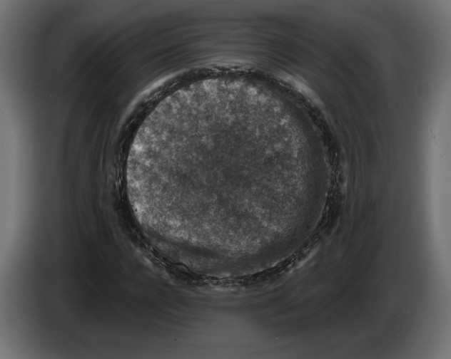 X0000082930920200703020102