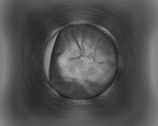 X0000082930921200703020102