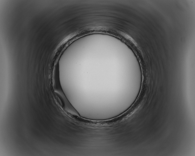 X0000082930922200703020102