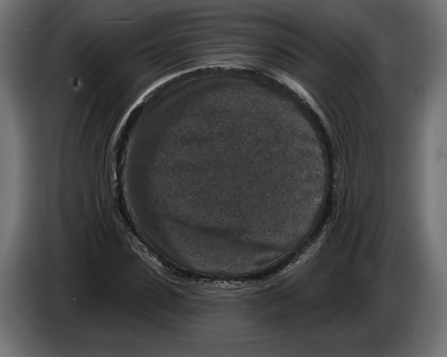 X0000082930923200703020102