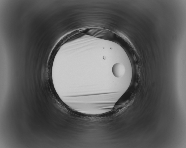 X0000082930924200703020102