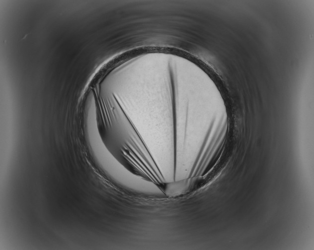 X0000082930926200703020102