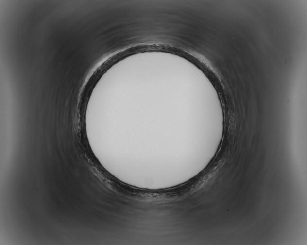 X0000082930927200703020102