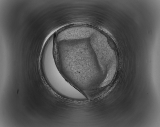 X0000082930928200703020102