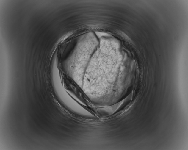 X0000082930930200703020102