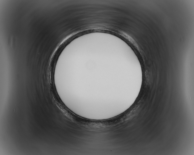 X0000082930931200703020102