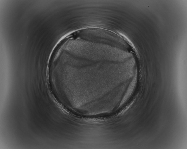 X0000082930932200703020102