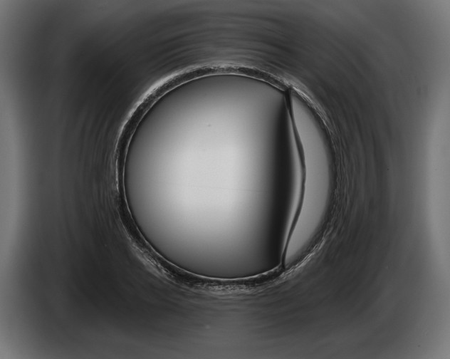 X0000082930934200703020102