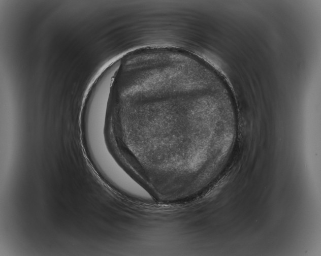 X0000082930935200703020102