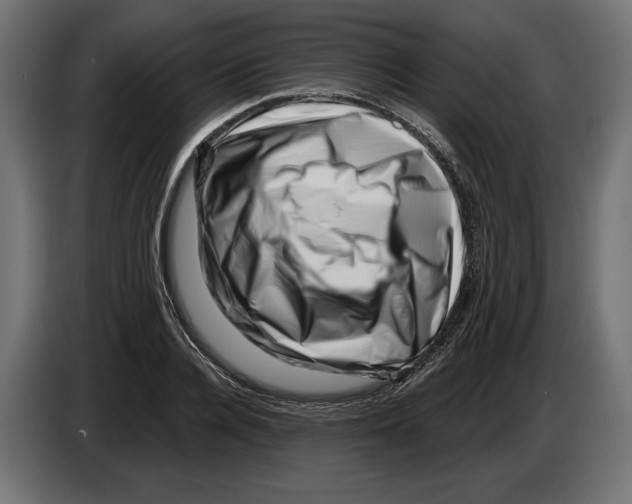 X0000082930936200703020102