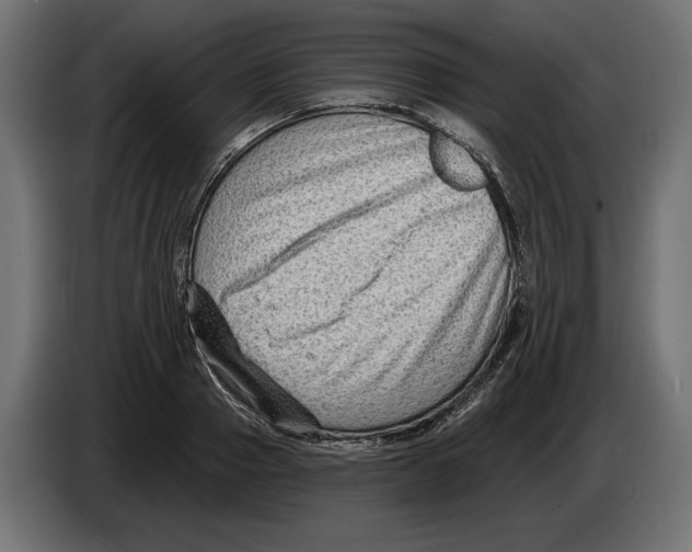X0000082930937200703020102