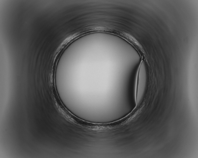 X0000082930938200703020102