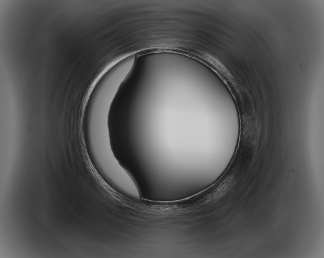 X0000082930939200703020102