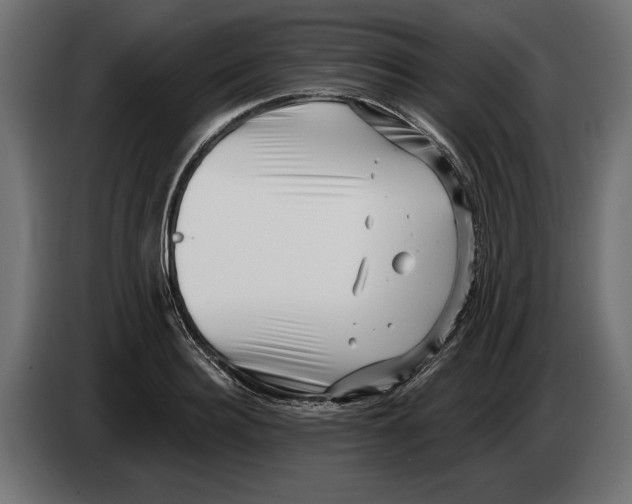 X0000082930940200703020102