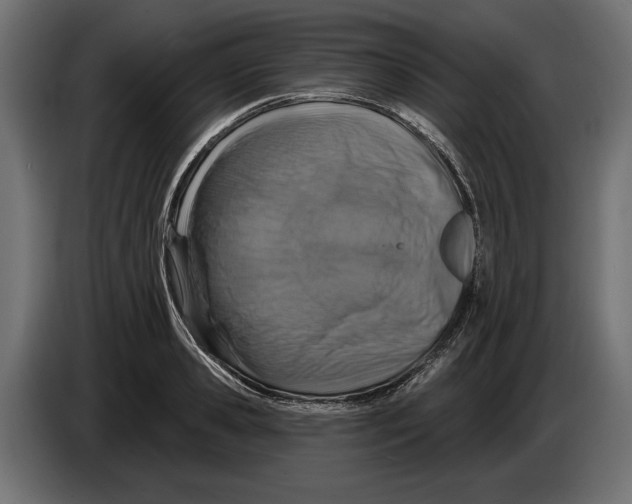X0000082930941200703020102