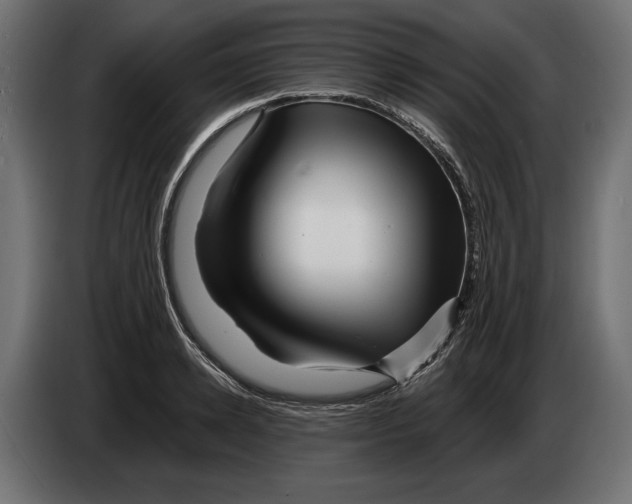 X0000082930942200703020102
