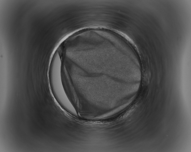 X0000082930943200703020102