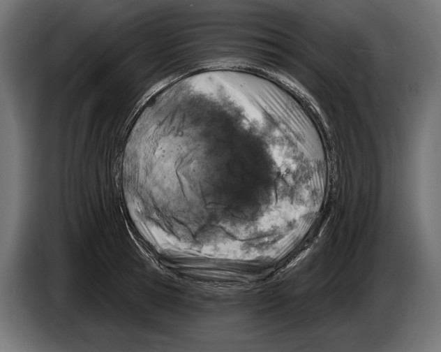X0000082930945200703020102