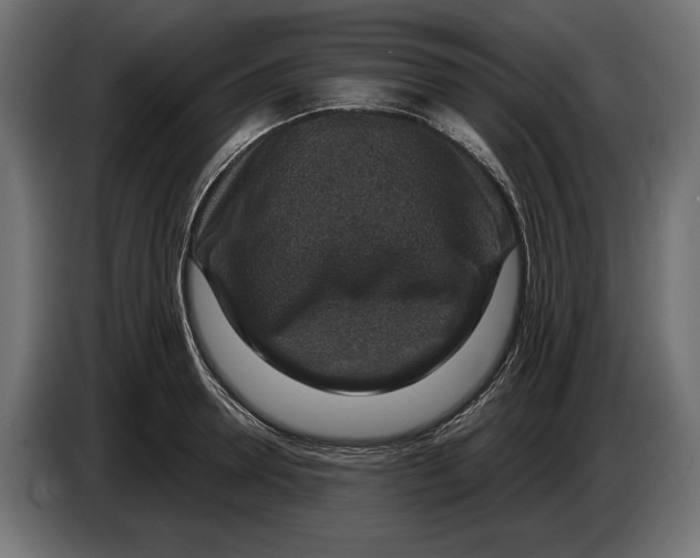 X0000082930946200703020102