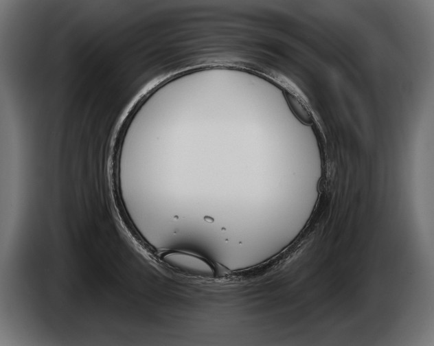 X0000082930947200703020102