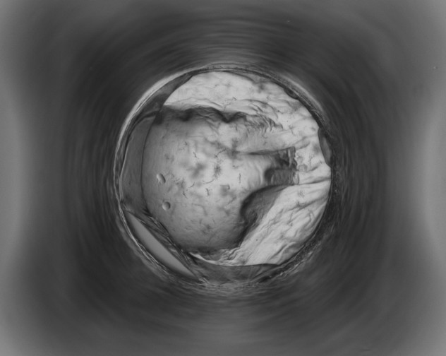 X0000082930948200703020102