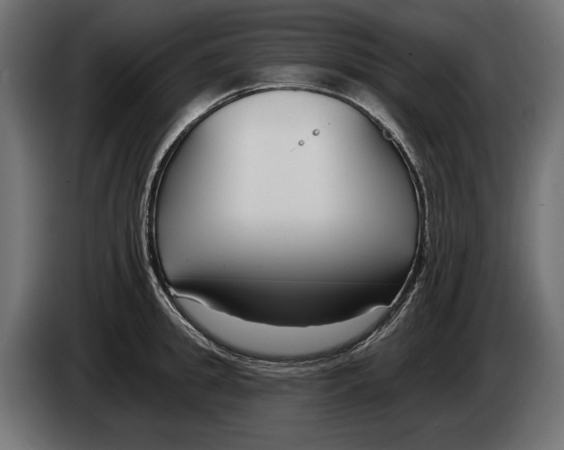 X0000082930949200703020102