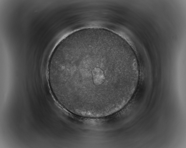 X0000082930950200703020102