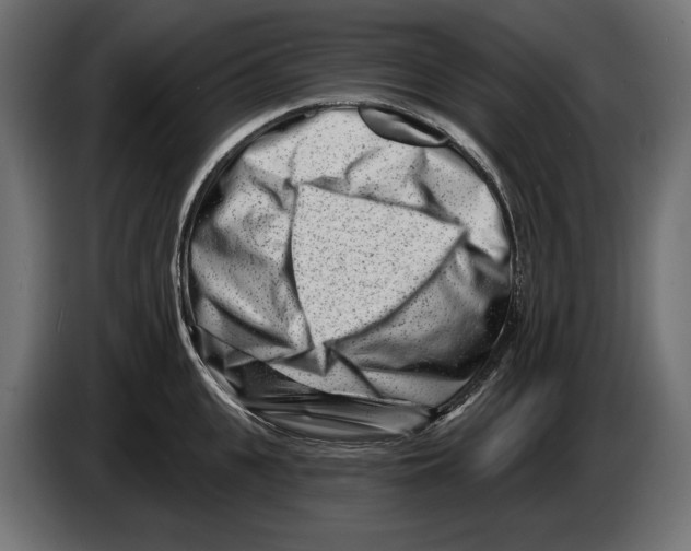 X0000082930951200703020102
