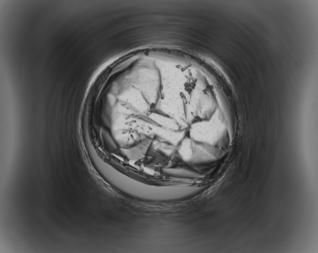 X0000082930952200703020102