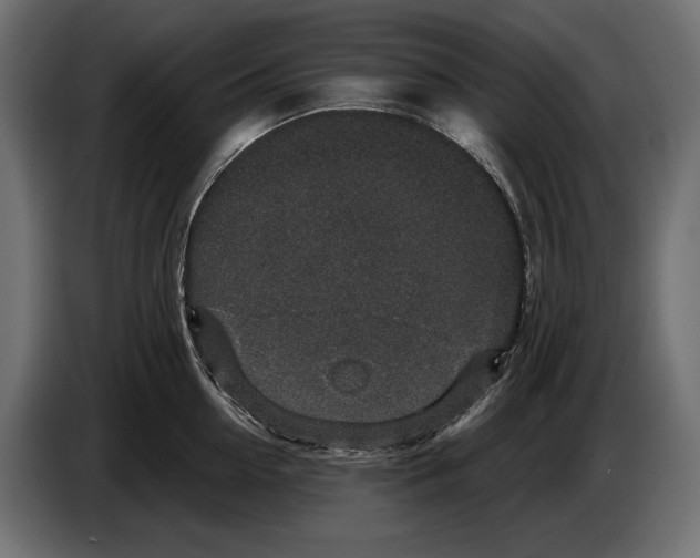 X0000082930954200703020102