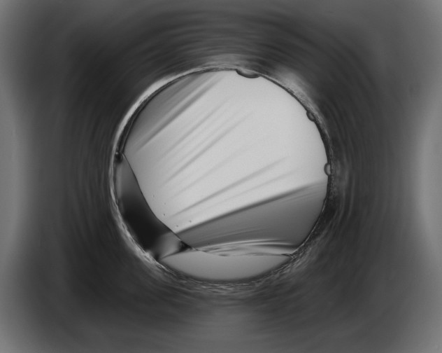 X0000082930955200703020102
