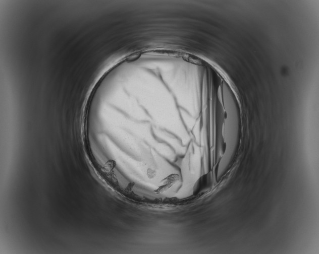X0000082930957200703020102