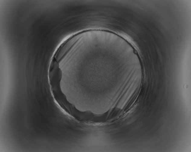 X0000082930958200703020102