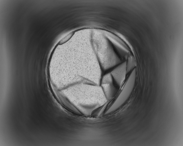 X0000082930959200703020102