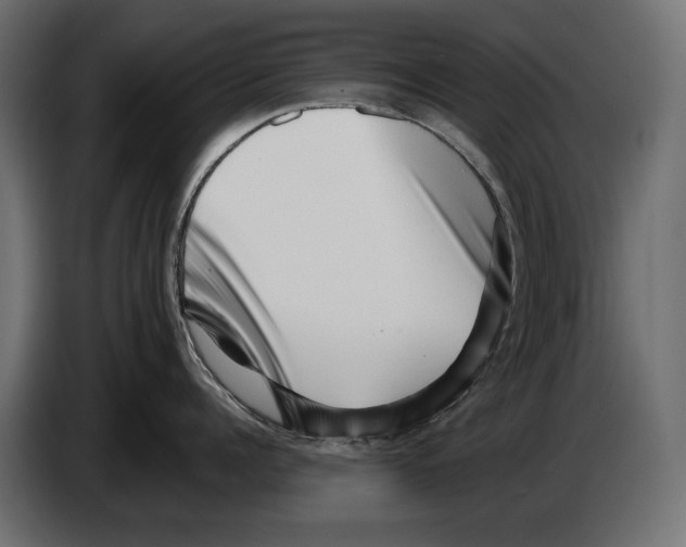 X0000082930960200703020102