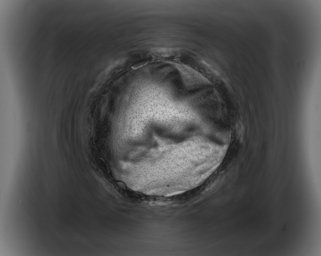 X0000082930961200703020102